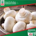 SPAR Qatar Offers  2020 - RAMADAN OFFERS
