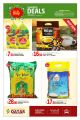 Offers Saudia Hyper Market - Qatar