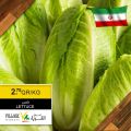 Village Markets Qatar Offers 2020