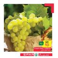 SPAR Qatar Offers  2020