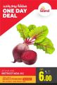 Grand Hypermarket Qatar offers 2021