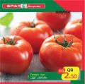 SPAR Qatar Offers  2020