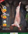 عروض الميرة قطر  2025