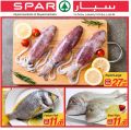 SPAR Qatar Offers  2019