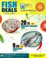 عروض قصر الأغذية قطر 2024