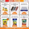 food palace hypermarket qatar offers 2020