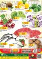 Panda Hypermarket Qatar Offers  2020