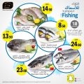 Masskar Qatar Haypermarket Offers 2020