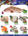 Spar Hypermarket Qatar Offers 2025