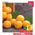 عروض سبار قطر 2020