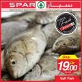 Spar Qatar Offers  2019