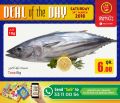 Quality Retail Qatar Offers