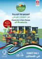 Safari Hypermarket Qatar Offers 2023