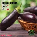 SPAR Qatar Offers  2020