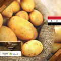 عروض اسواق القرية قطر 2020