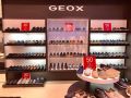 Geox  Qatar  Offers