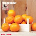 SPAR Qatar Offers  2020