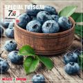 عروض سبار قطر  2020