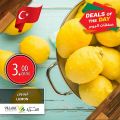 عروض أسواق القرية قطر 2020