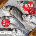 village markets qatar offers 2020