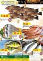 Panda Hypermarket Qatar offers  2020