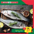 SPAR Qatar Offers  2021