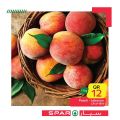 عروض سبار قطر 2020