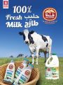 Safari Hypermarket Qatar offers