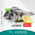 Fish.qa Qatar Offers 2022