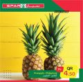 Spar Qatar Offers 2020