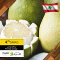 عروض أسواق القرية قطر 2020