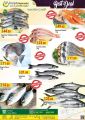 Panda Hypermarket Qatar offers  2020