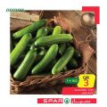 SPAR Qatar Offers  2020