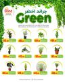 Grand Mall Qatar offers 2025