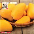عروض سبار قطر  2020