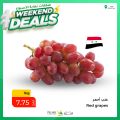 عروض أسواق القرية قطر 2022