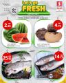 Safari Hypermarket Qatar Offers 2022