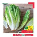 SPAR Qatar Offers  2020