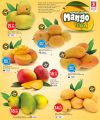 Safari Hypermarket Qatar offers 2025