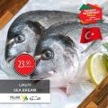 Village Markets Qatar offers 2021