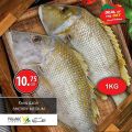 Village Markets Qatar Offers 2021