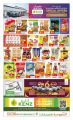 KENZ Mini Mart Qatar offers 2022