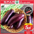 عروض سبار قطر  2019