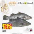عروض الميرة قطر 2021