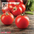 SPAR Qatar Offers  2020