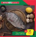 Spar hypermarket qatar offers 2021