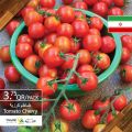 عروض أسواق القرية قطر 2020