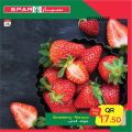 SPAR Qatar Offers  2021
