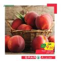 SPAR Qatar Offers  2020