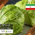 Village Markets Qatar Offers 2020